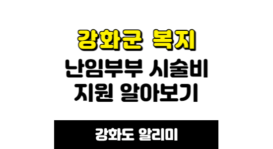 강화군 난임부부 시술비 지원