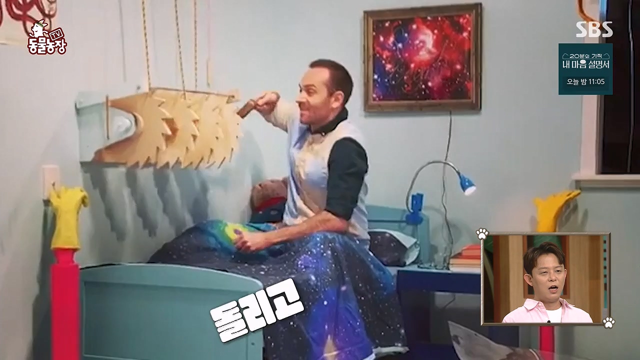 TV 동물농장.E1172.240520p-NEXT.mp4_20240519_162202.680.jpg