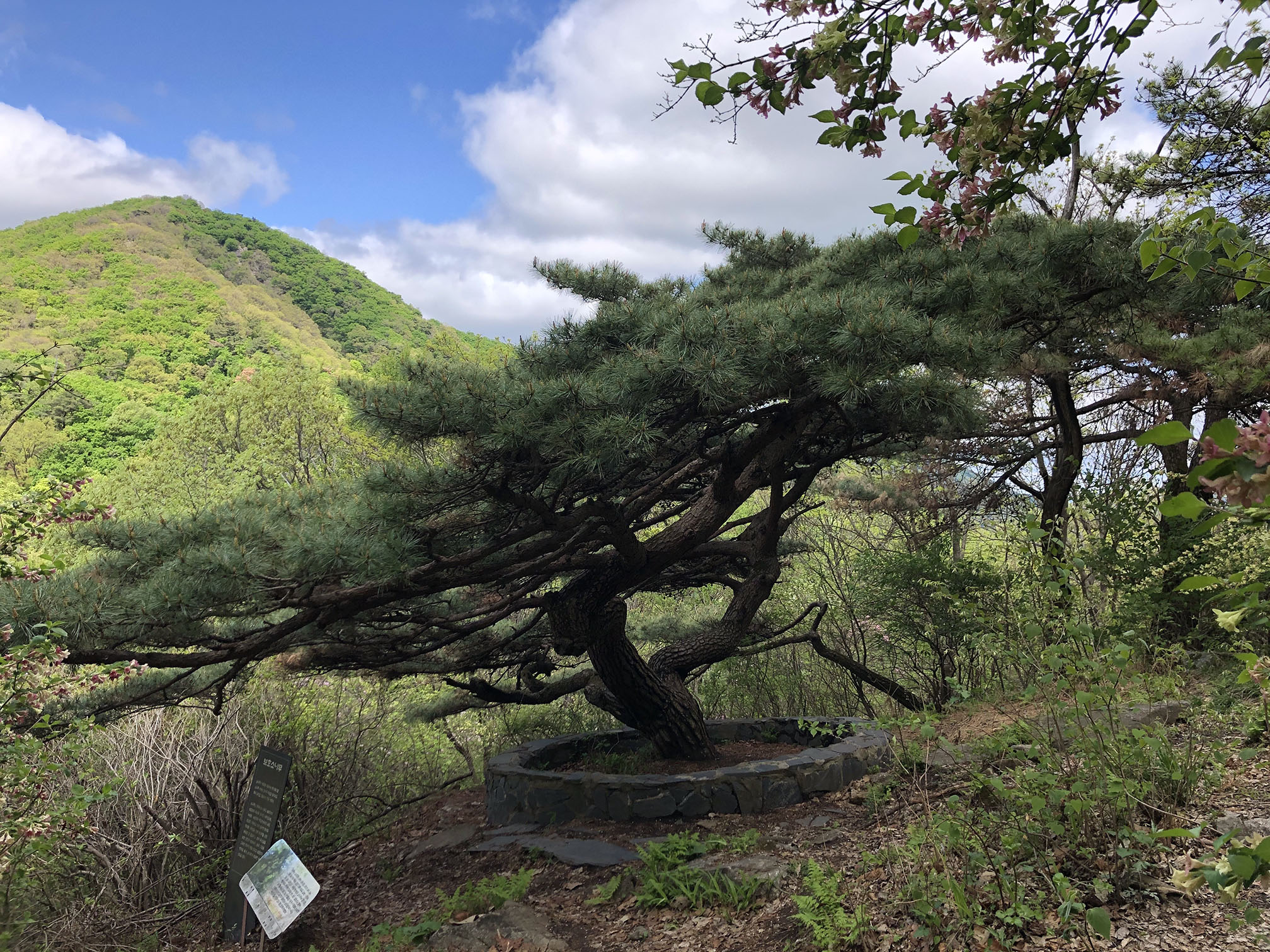 예봉산등산코스