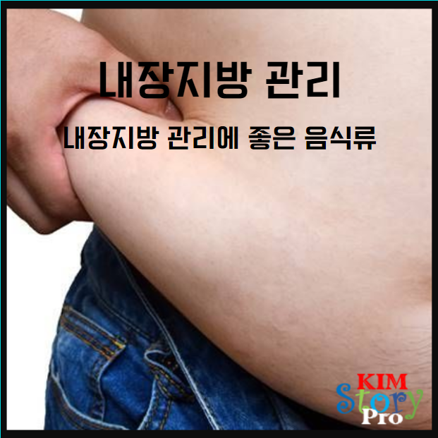  내장지방 관리에 좋은 음식류