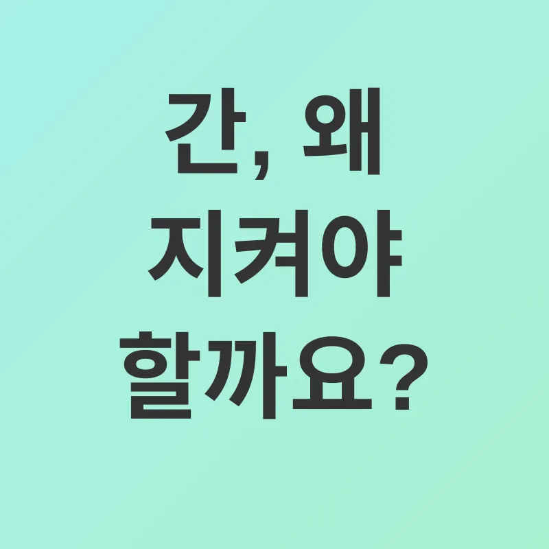 간 건강 관리_1