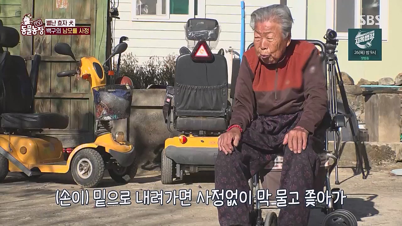 TV 동물농장.E1104.230123p.WANNA.mp4_20230123_195406.726.jpg