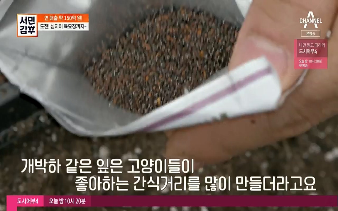 서민갑부.E391.220710p-NICE.mp4_20220710_182134.885.jpg