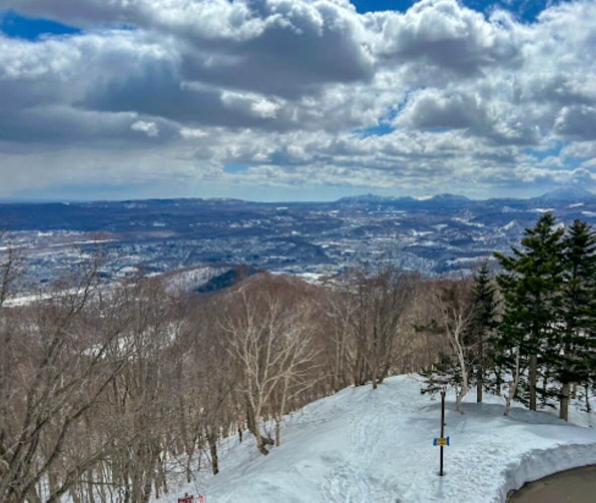 모이와야마 전망대 - 藻岩山 山頂展望台