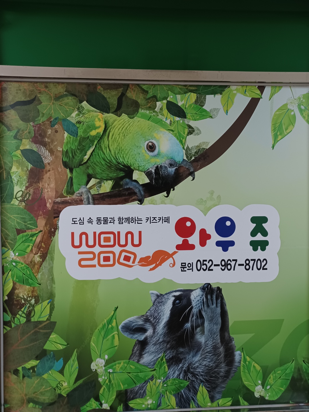  작은 동물원  "와우쥬"