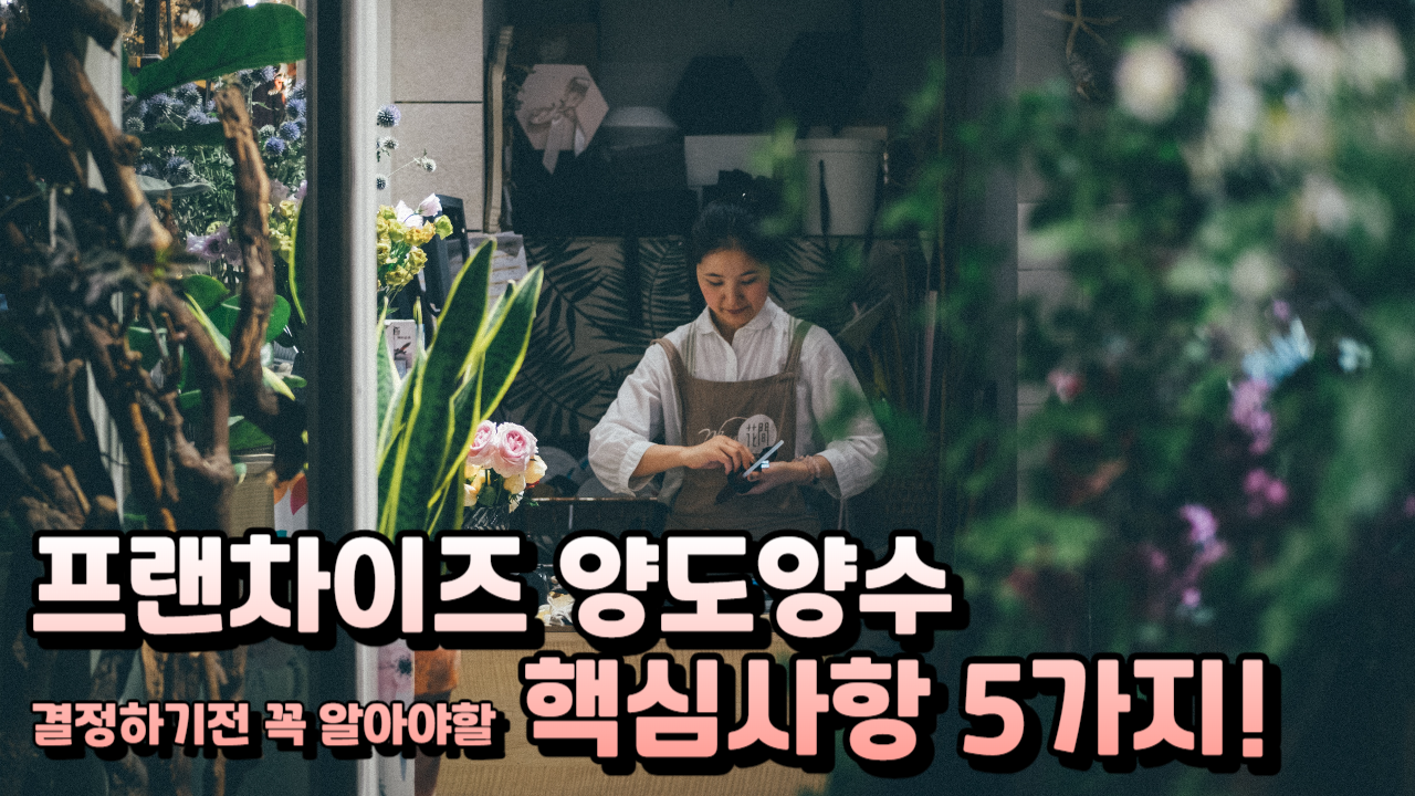  프랜차이즈 양도양수 물건 초보 창업자들을 위한 현실적인 조언