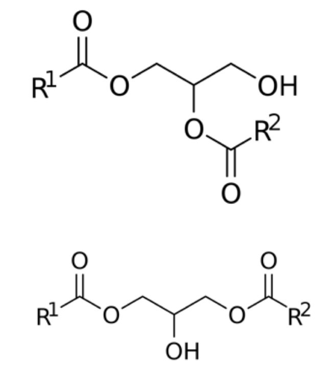  디아실글리세롤 (DIACYLGLYCEROL) 효능 및 부작용, 섭취법은?