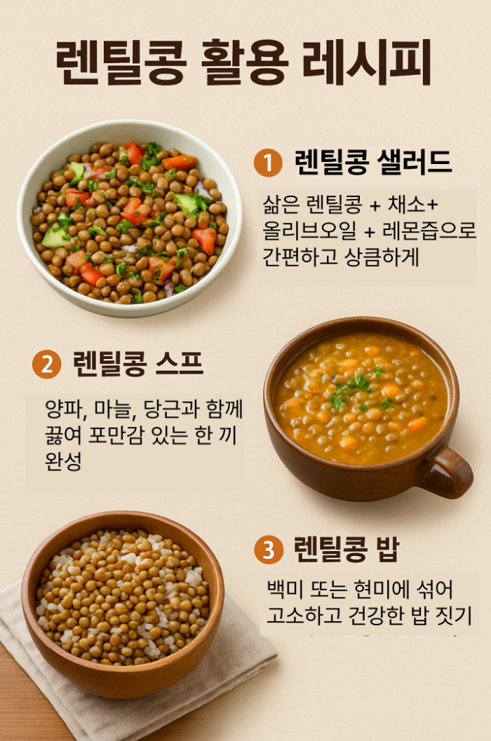 렌틸콩을 활용한 다양한 요리 레시피를 소개하는 인포그래픽 – 렌틸콩 샐러드, 수프 등 건강한 식단 아이디어