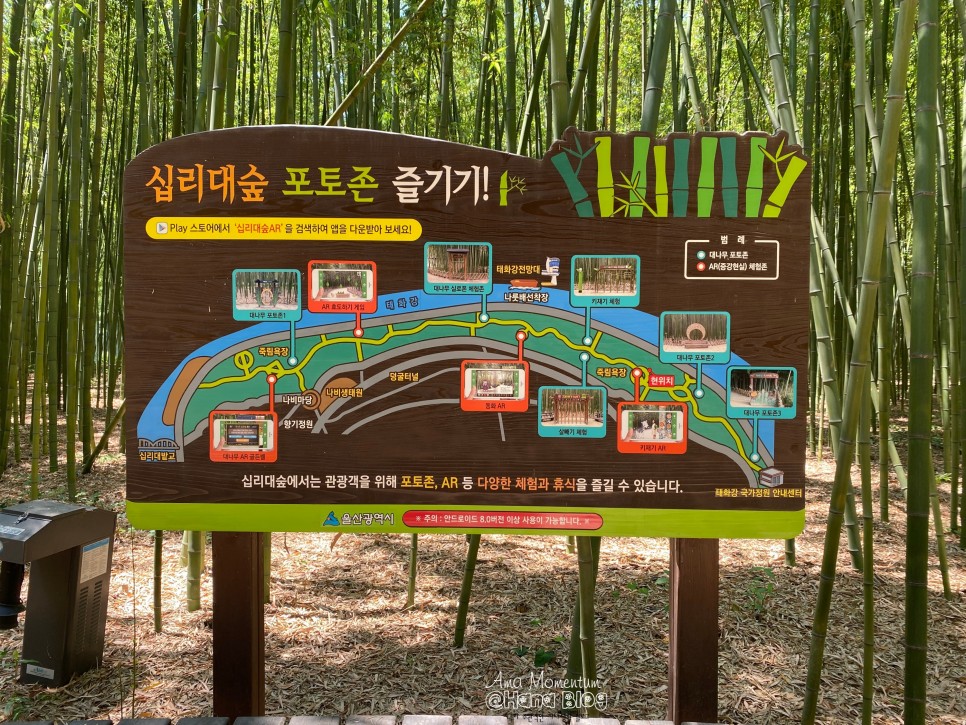 꽃양귀비 [ 울산 여행 ] 한 폭의 수채화♥ 양귀비와 43