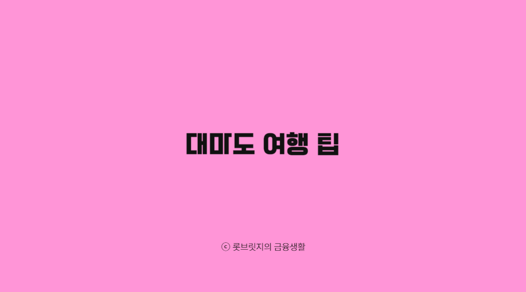 대마도 여행 팁