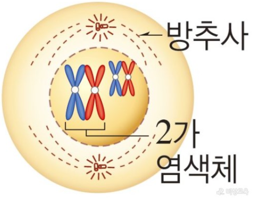 전기