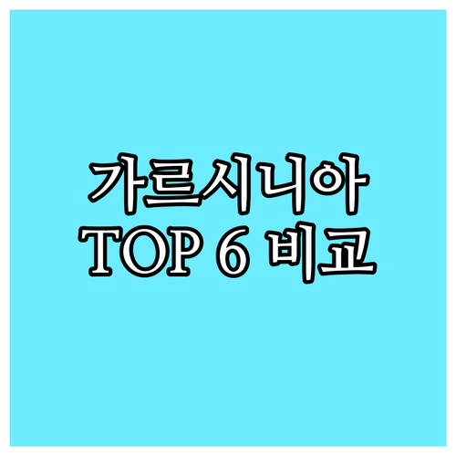 가르시니아 다이어트 제품 TOP 6 
