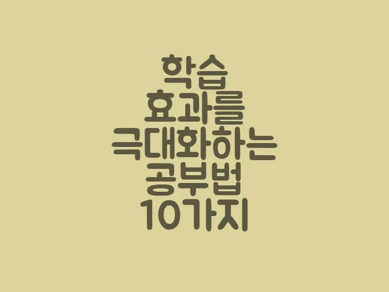 학습 효과를 극대화하는 공부법 10가지