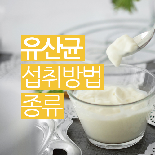  유산균이란? 섭취방법, 종류에 대해 알아보자!!