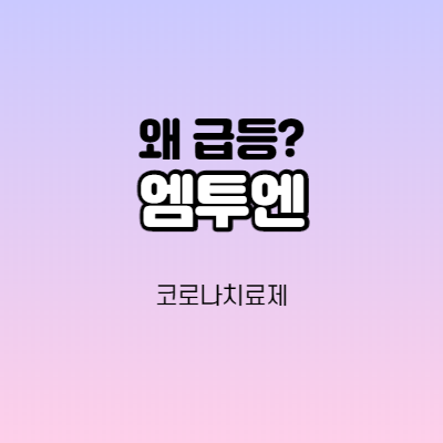  엠투엔 - 어떤 기업인가요? 급등이유/기업분석