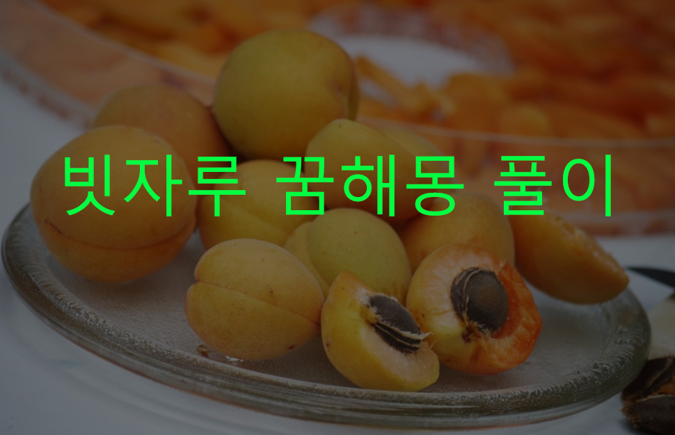 살구 꿈해몽 풀이