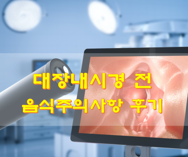  대장내시경 전 음식주의사항 후기