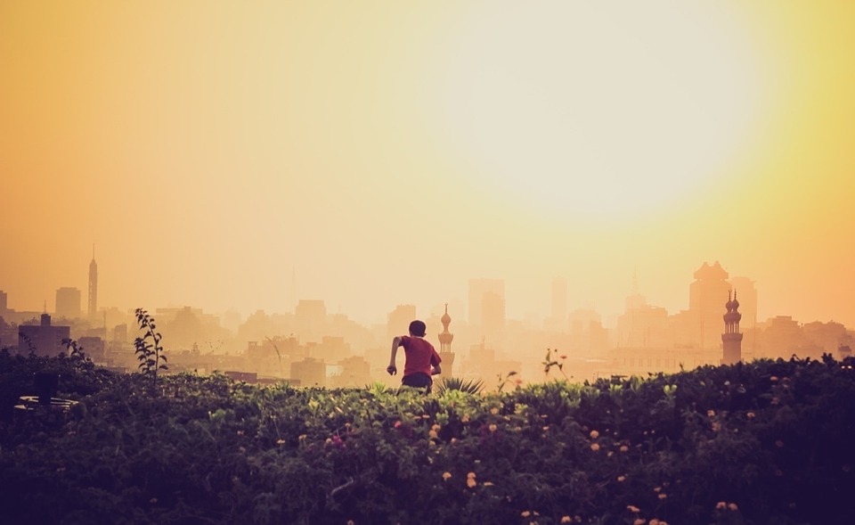  공기청정기 렌탈비용알아보기 미세먼지에대항하자