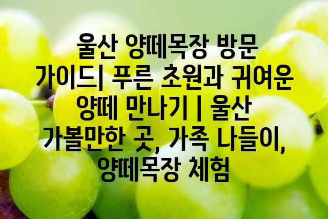 랜덤102