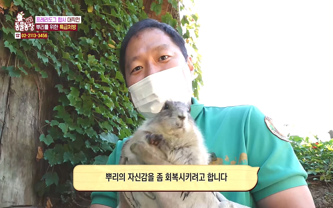 TV 동물농장.E1090.221010p-NEXT.mp4_20221009_182022.549.jpg
