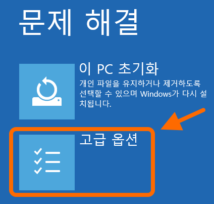 문제 해결
고급 옵션