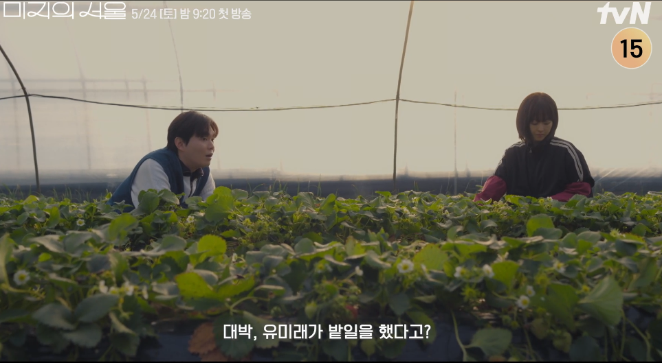 미지의 서울