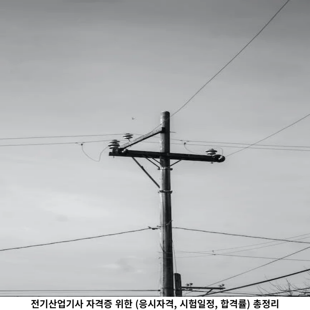 시험일정