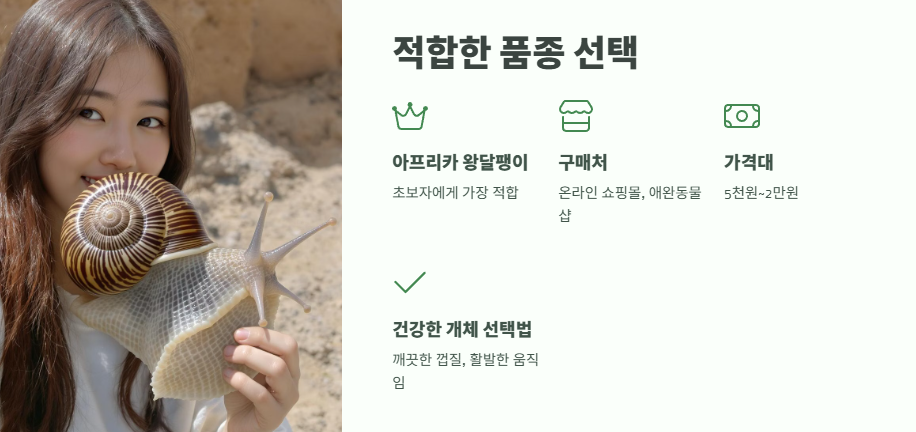 달팽이 키우기 완벽 정리 3