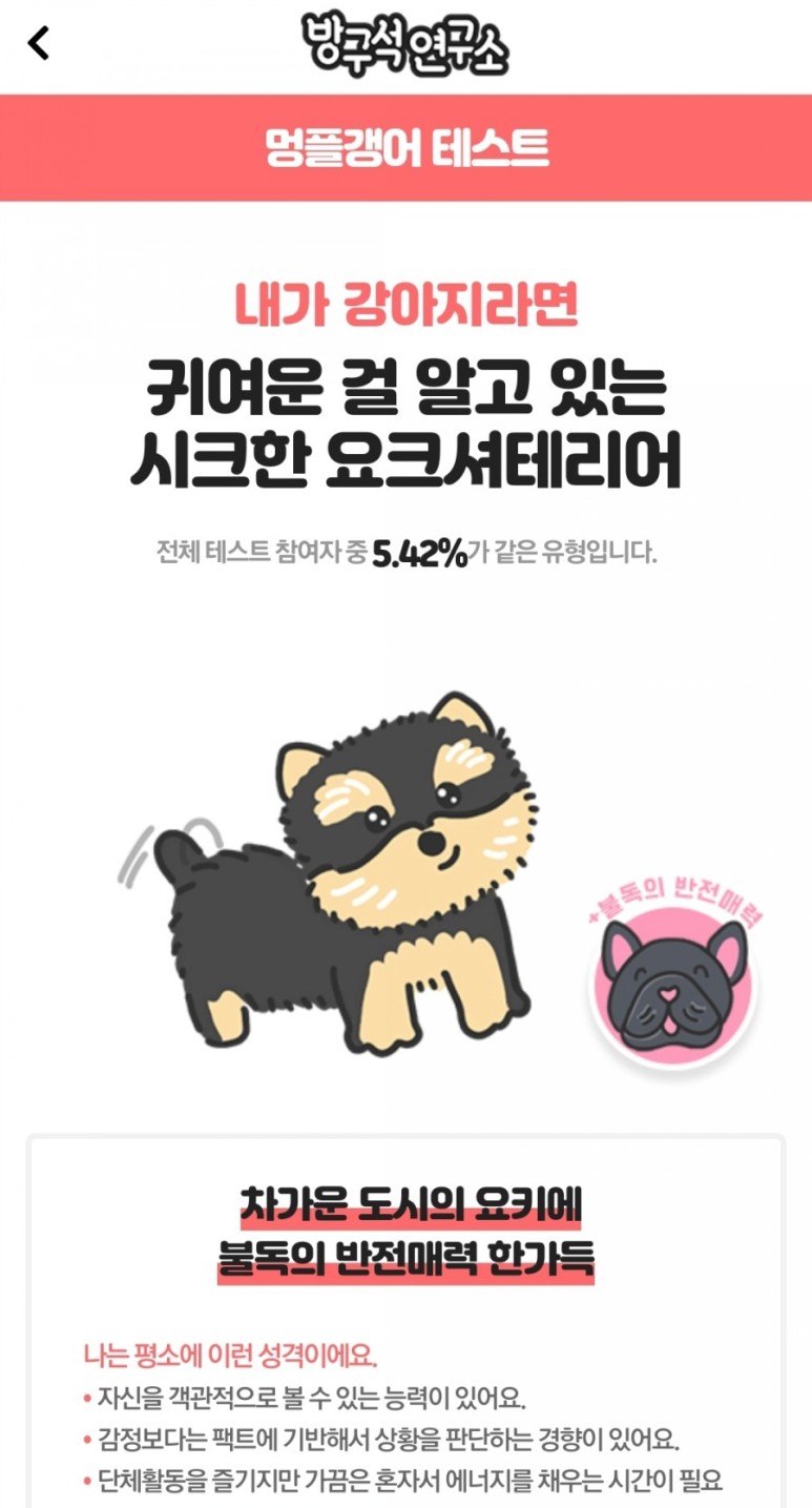 - 내가 강아지라면 (유기동물 11번가 주소 바로가기) [테스트] 방구석 연구소 테스트 2