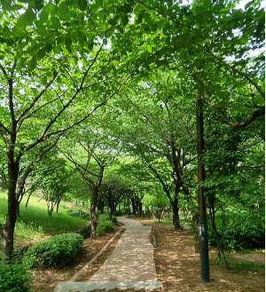 연인과 함께 걸으면 좋을 산책길