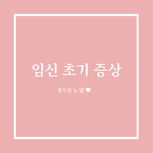  임신인가...?임신 초기 증상과 확인 방법.