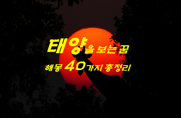  태양꿈 해몽 40가지 총정리