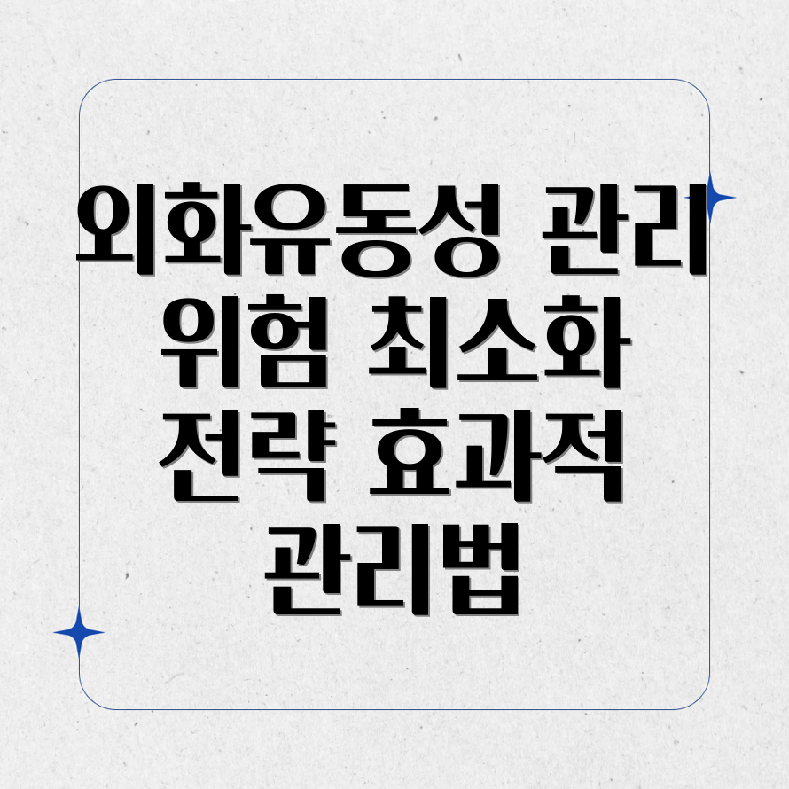 외화유동성 관리