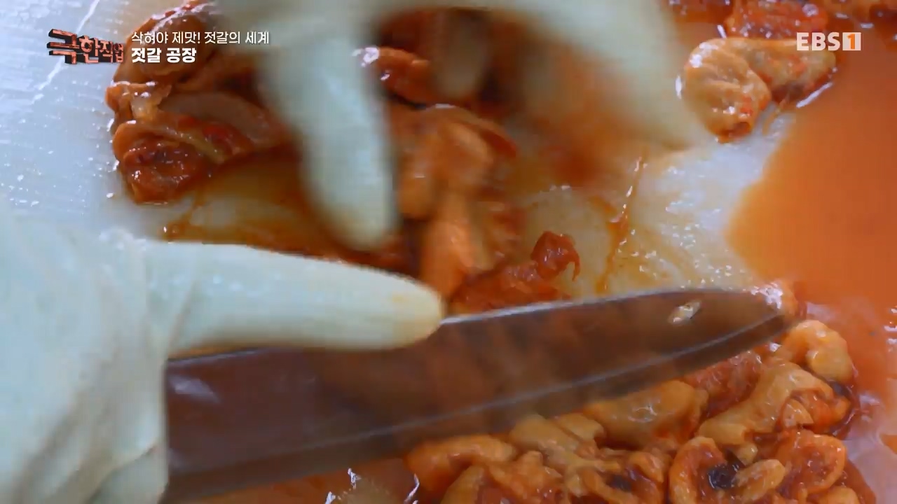 TV - 전 국민의 평생학교 EBS삭혀야 제맛! 젓갈의 세계.mp4_20231125_190848.970.jpg