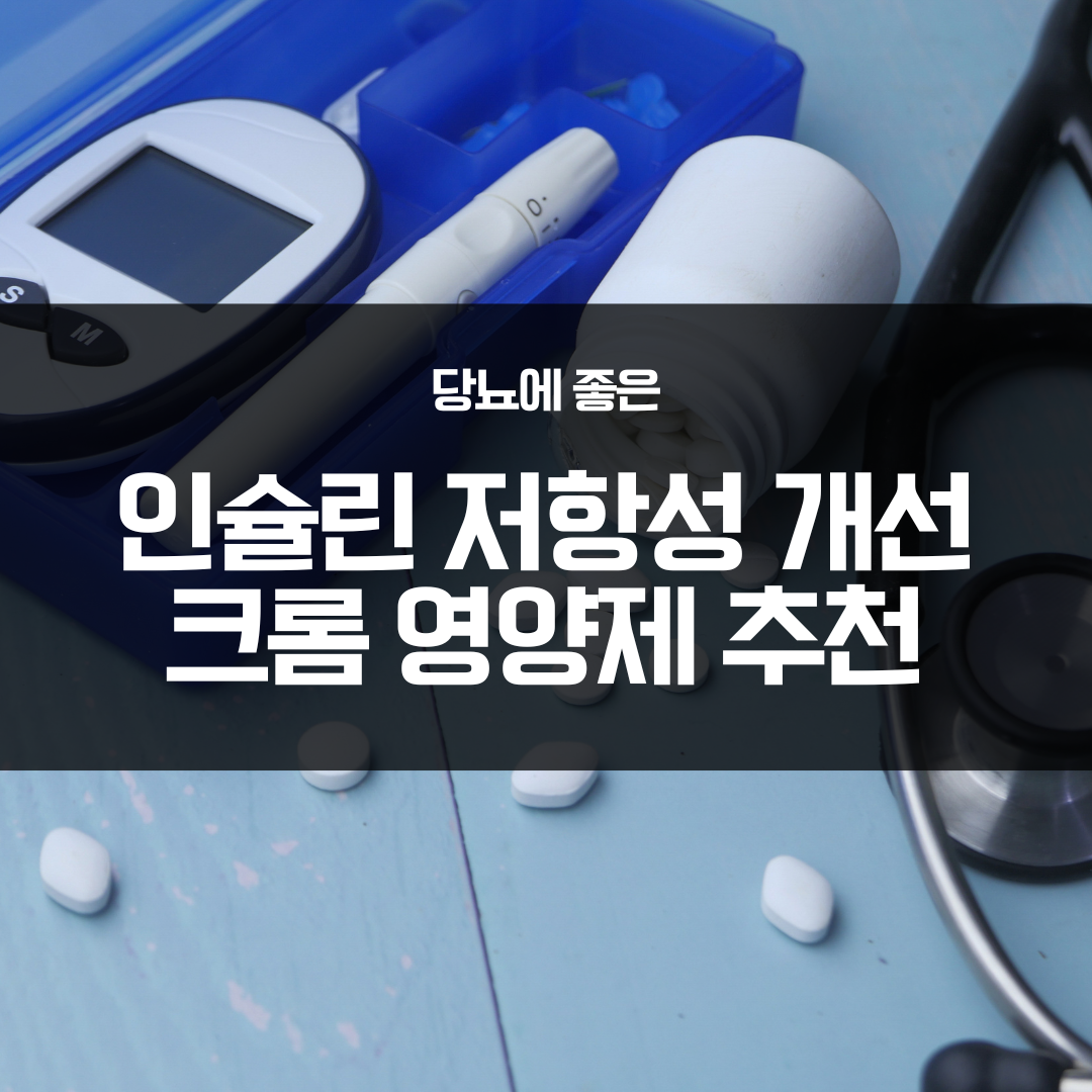 인슐린 저항성 개선 크롬 영양제 추천