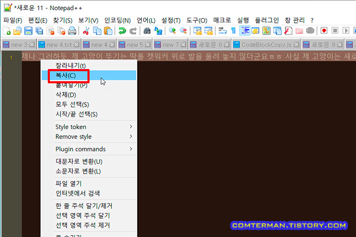 notepad++ 복사