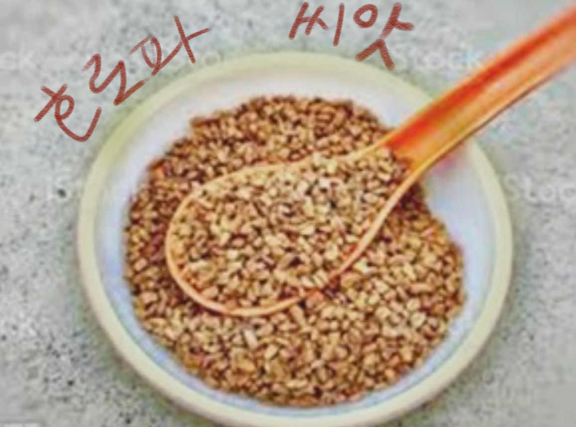  호로파 , 혈당 관리에 탁월한 건강식품이다?