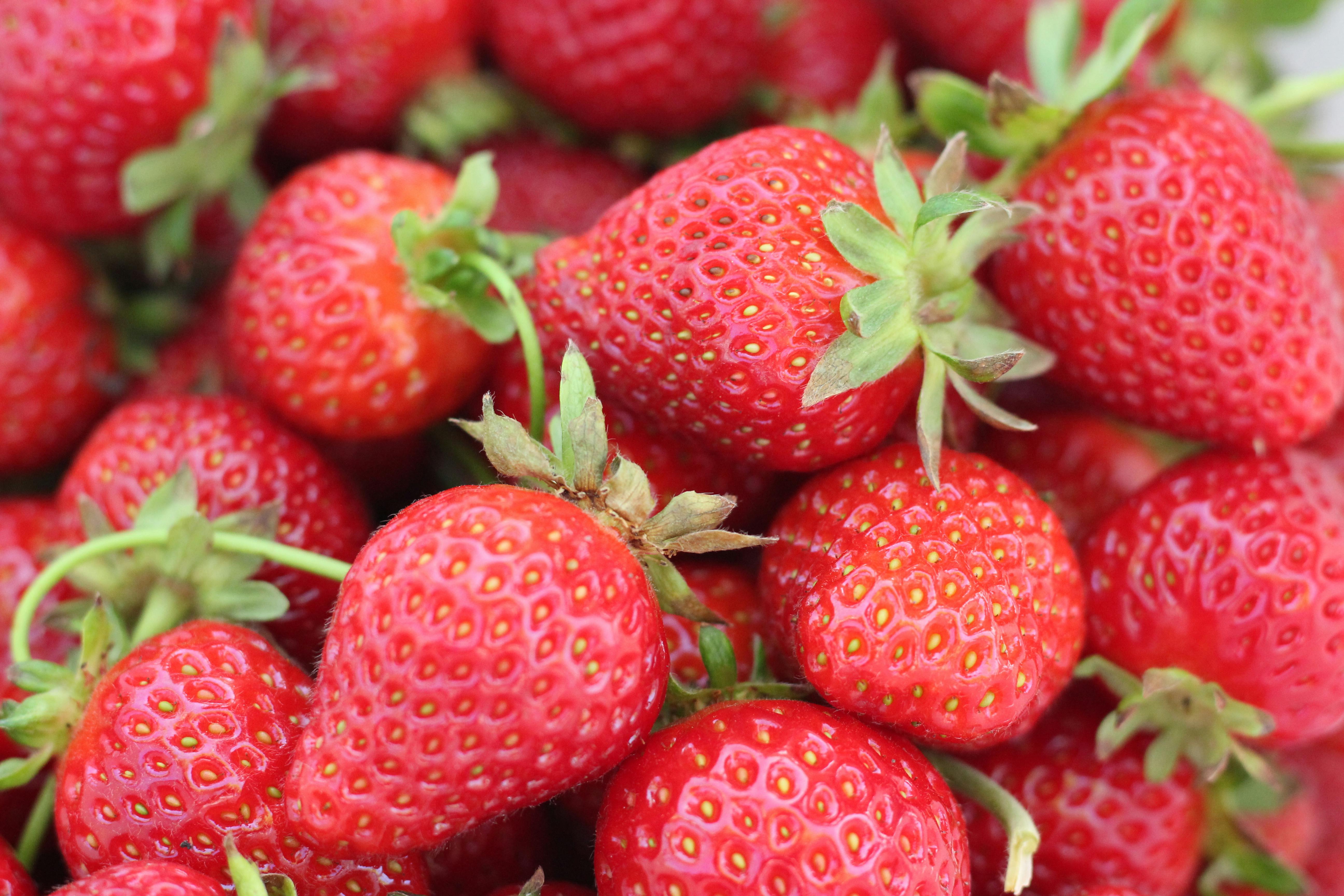 Healthy Desserts with No Added Sugar