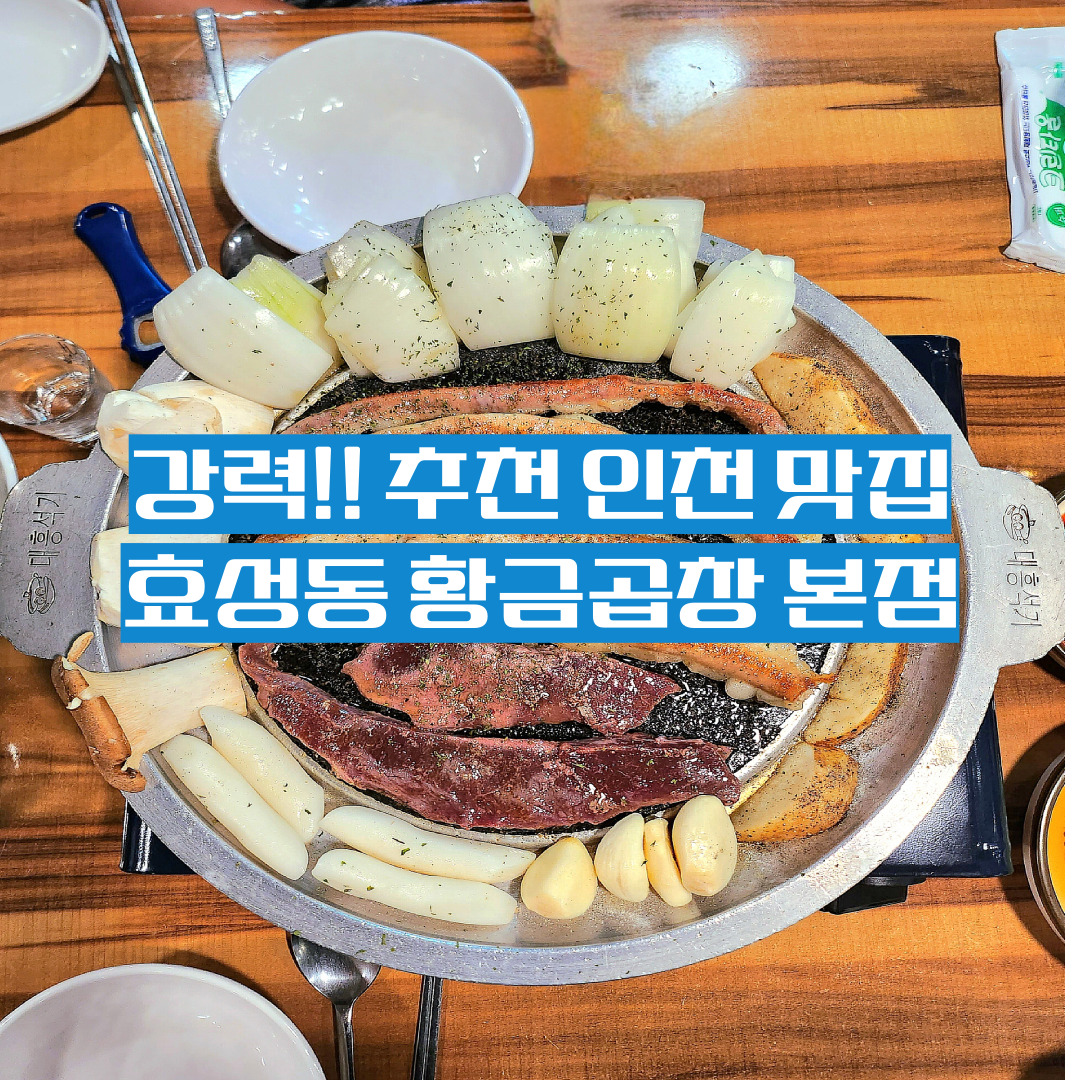 강력!! 추천 인천 맛집 효성동 황금곱창 본점