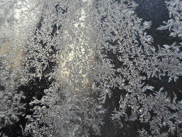출근길 버스부스 유리창에 내린 얼음꽃