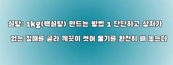  설탕: 1kg(백설탕) 만드는 방법 1 단단하고 상처가 없는 청매를 골라 깨끗이 씻어 물기를 완전히 빼 놓는다