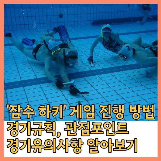  '잠수 하키' 게임 진행 방법, 경기규칙, 관점포인트, 경기유의사항 알아보기