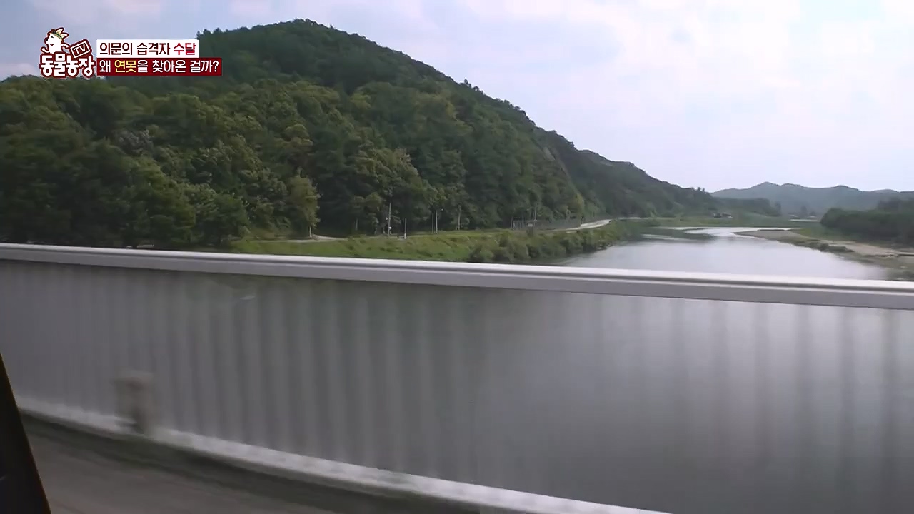 TV 동물농장.E1178.240630.ts_20240630_164649.271.jpg