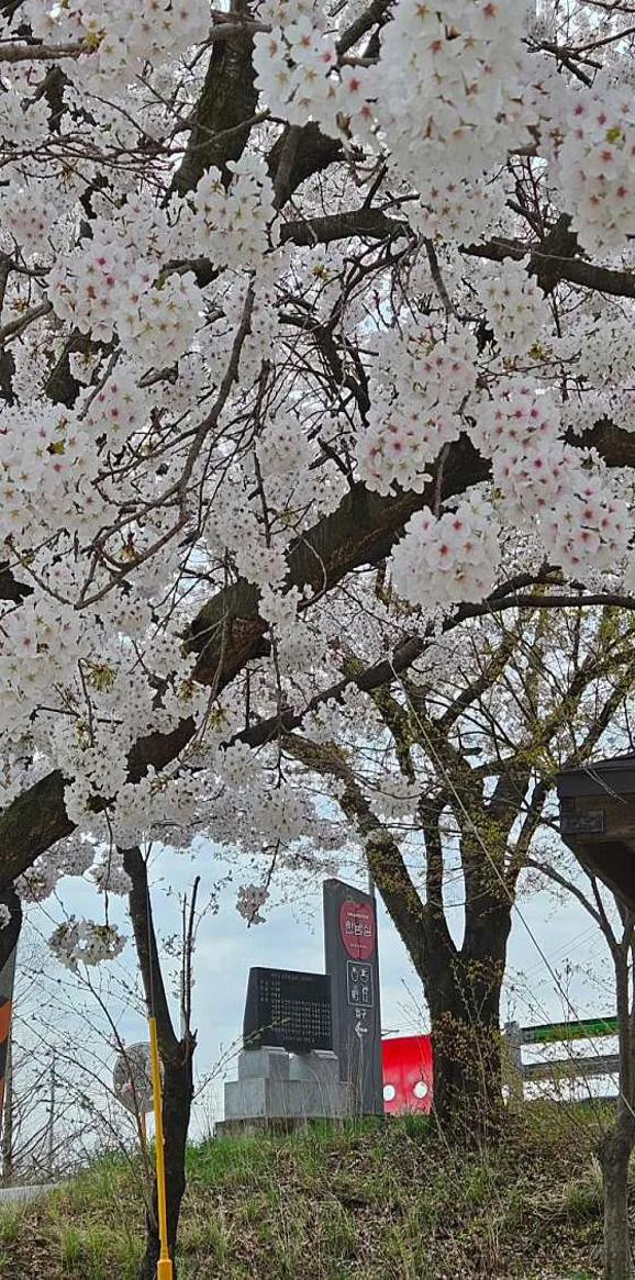 한밤실 마을 펜션