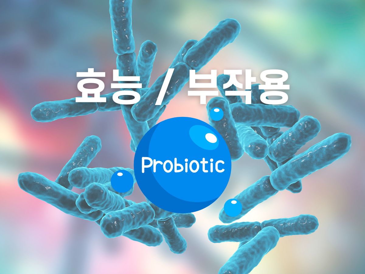 엘리하이 환불 규정.jpg
