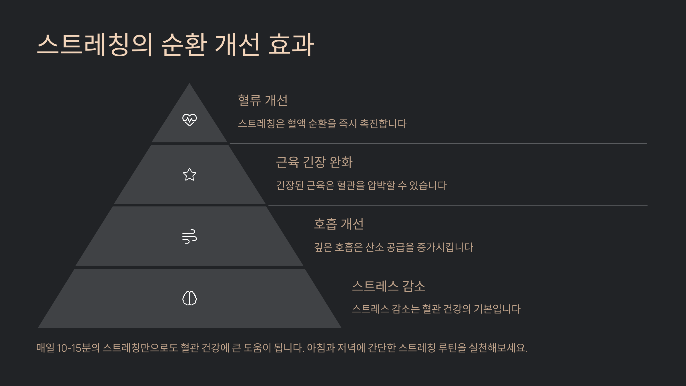 🧘 스트레칭의 순환 개선 효과