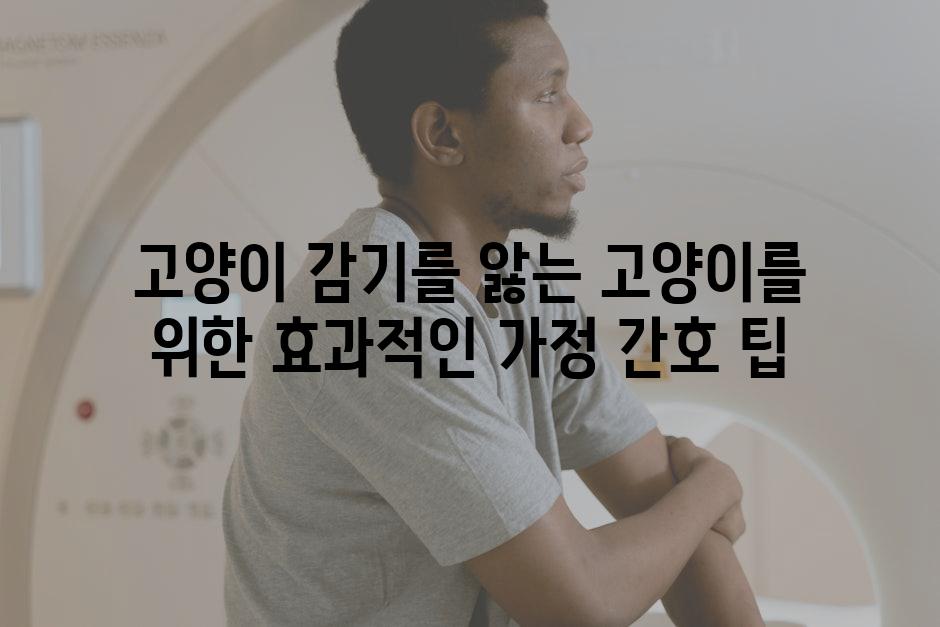 고양이 감기를 앓는 고양이를 위한 효과적인 가정 간호 팁