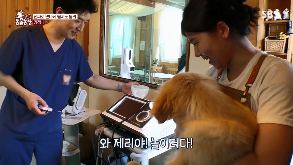 TV 동물농장.E1129.230716p.H264-F1RST.mp4_20230716_183623.966.jpg