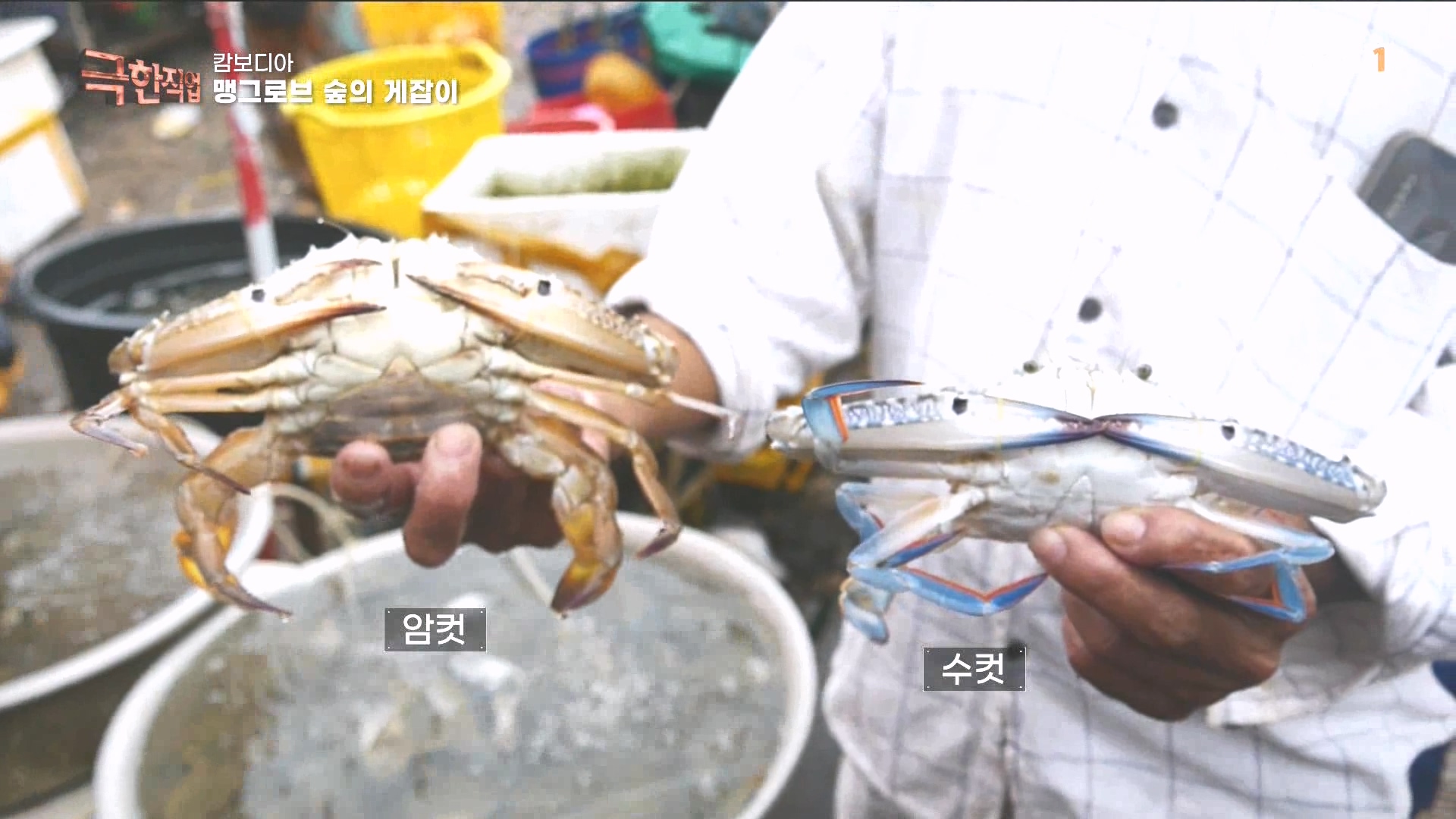 물뱀 사냥과 맹르로브숲의 게잡이 231021.mp4_20231025_204449.036.jpg