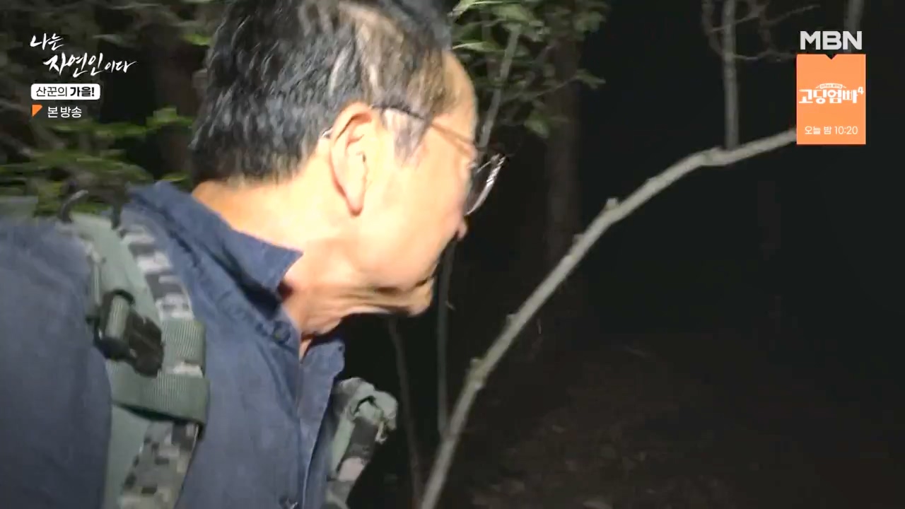 나는 자연인이다.E574.231005p-NEXT.mp4_20231005_200543.788.jpg